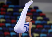 Kişi idman gimnastikası üzrə 22-ci Bakı Çempionatı və Birinciliyi. Bakı, Azərbaycan, 02 oktyabr 2015